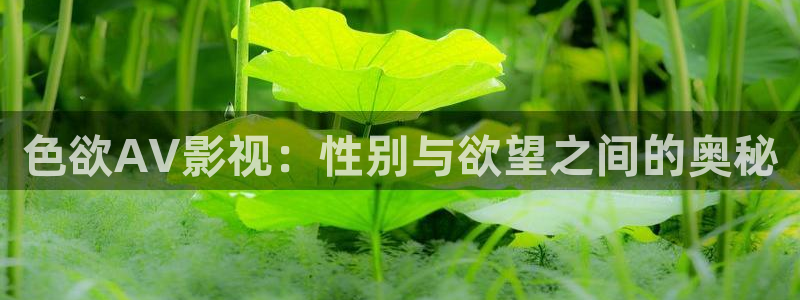 桔子影院午夜场免费