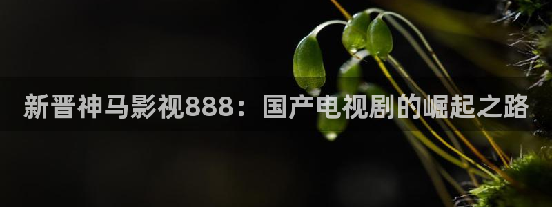 桔子视频网：新晋神马影视888：国产电视剧的崛起之路