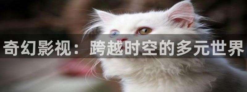 桔子电影网手机