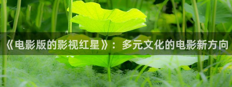 桔子影视免费观看：《电影版的影视红星》：多元文化的电影新方向