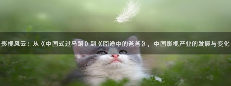 桔子的功效与作用