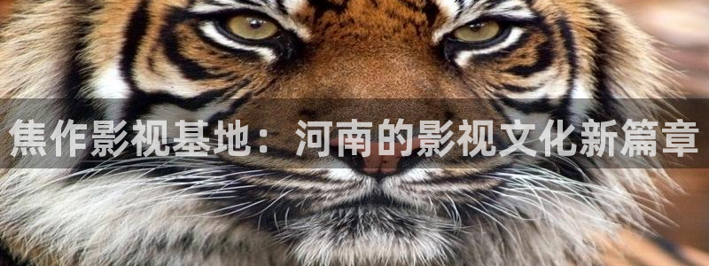 桔子视频在线观看：焦作影视基地：河南的影视文化新篇章