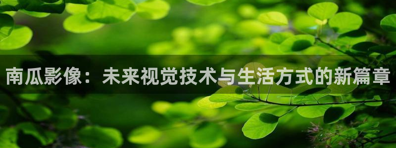 桔子视频下载appios：南瓜影像：未来视觉技术与生活方式的新篇章