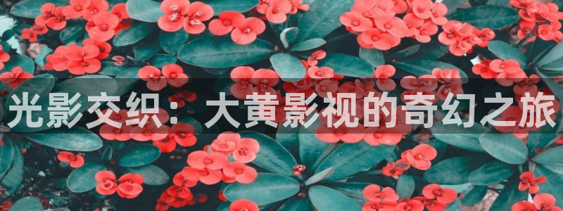 桔子影视电影网：光影交织：大黄影视的奇幻之旅